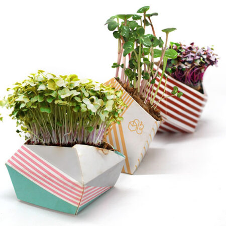 OriBon Classic Collection – 3 Origami Plant Pots with BIO Microgreen Seeds Included - Image 6