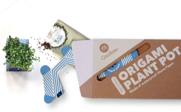 OriBon Classic Collection – Origami Plant Pot with BIO Microgreen Included