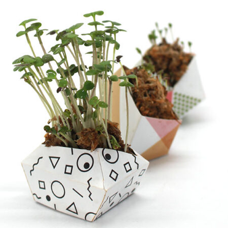 OriBon Modern Collection – 3 Origami Plant Pots with BIO Microgreen Seeds Included - Image 7