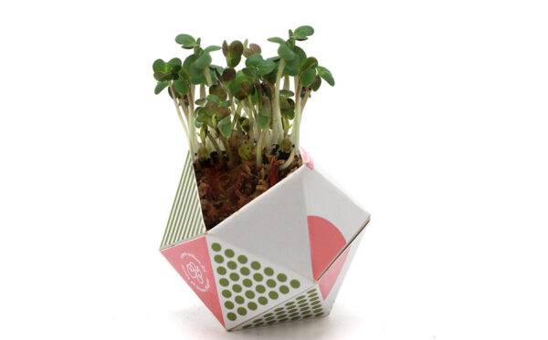OriBon Modern Collection – Origami Plant Pot with BIO Microgreen Seeds Included - Image 4