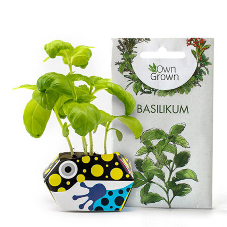 OriBon Rainforest Animals Collection – Origami Plant Pot with Herb Seeds Included