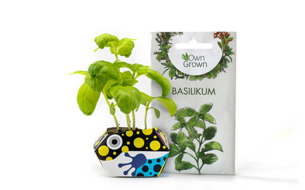 OriBon Rainforest Animals Collection – Origami Plant Pot with Herb Seeds Included