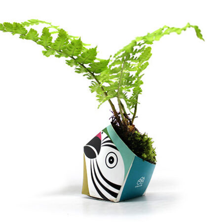 OriBon Rainforest Animals Collection – Origami Plant Pot with Herb Seeds Included - Image 5