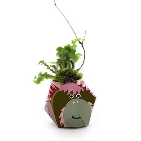 OriBon Rainforest Animals Collection – Origami Plant Pot with Herb Seeds Included - Image 4