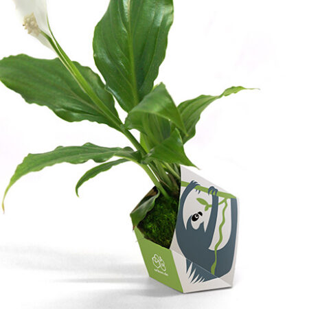 OriBon Rainforest Animals Collection – Origami Plant Pot with Herb Seeds Included - Image 3