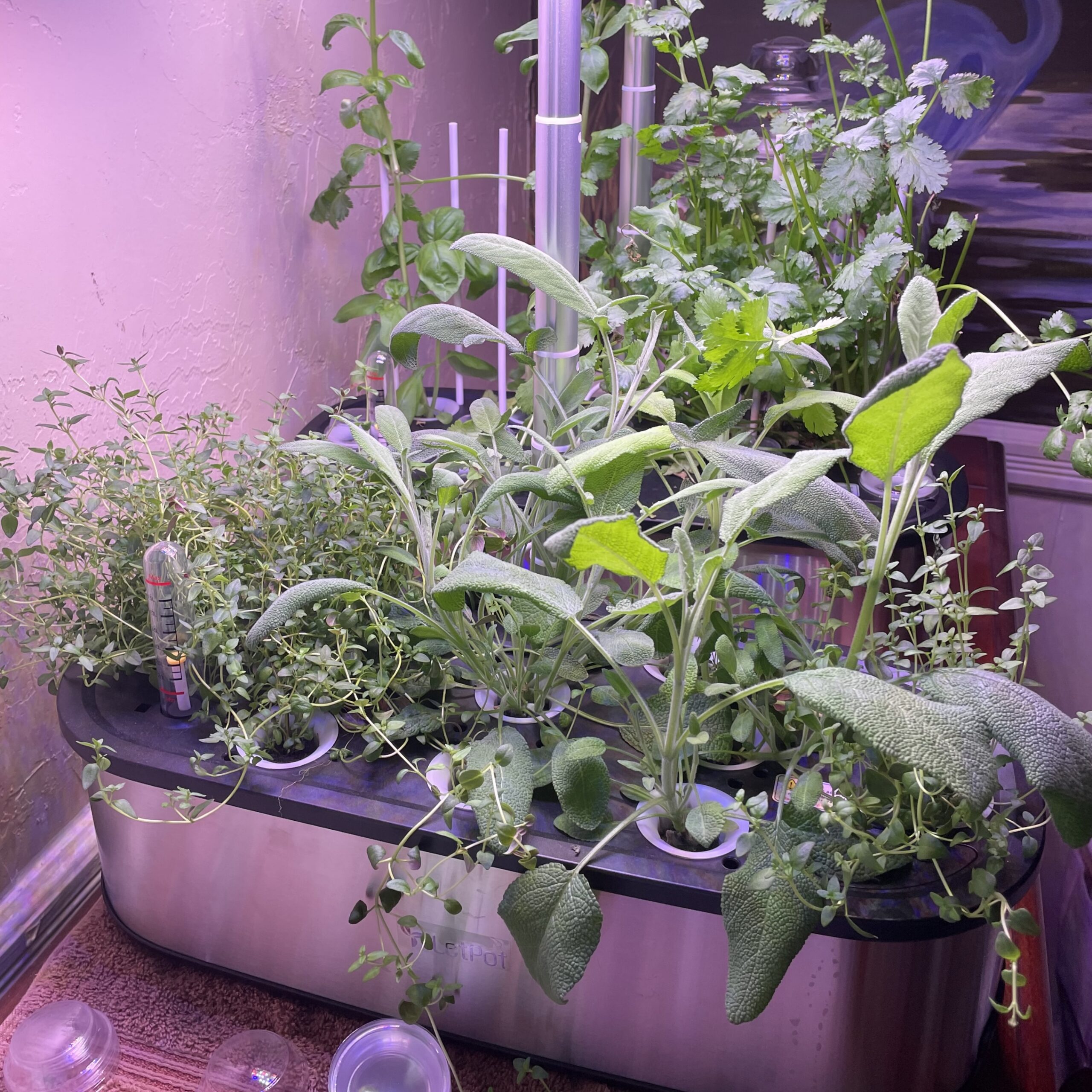 Are indoor garden systems worth it?