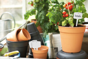 What are ideas for indoor gardening?