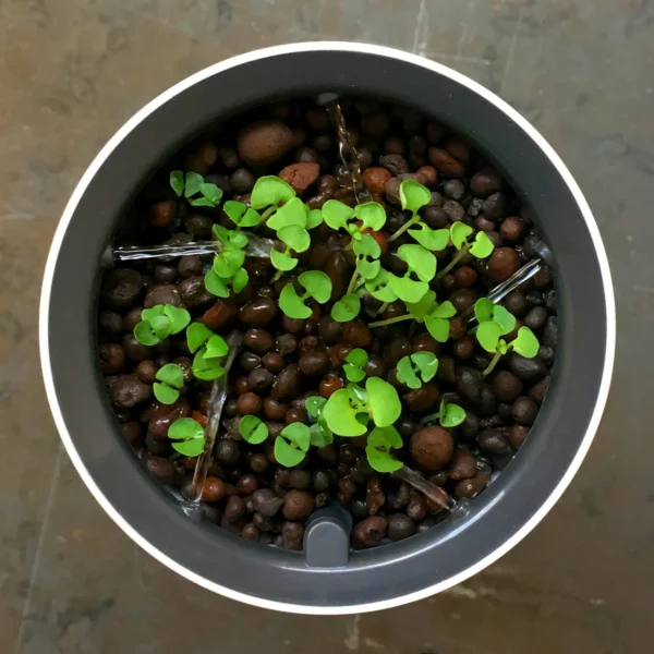 Botanium Smart Hydroponic Pot – Scandinavian Design Indoor Garden with Automatic Watering - Image 3
