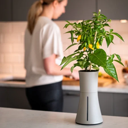 Botanium Smart Hydroponic Pot – Scandinavian Design Indoor Garden with Automatic Watering - Image 2