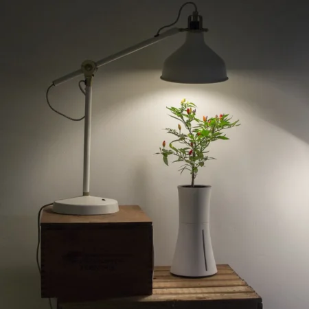 Botanium 15W LED Grow Light – Full Spectrum E27 Lamp for Indoor Hydroponics - Image 4