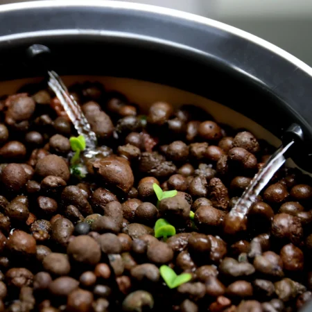 Botanium Growing Medium – Hydroponic Substrate Refill for Smart Indoor Gardens - Image 2