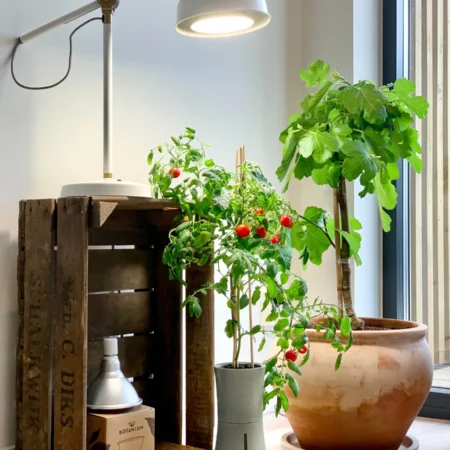 Botanium 15W LED Grow Light – Full Spectrum E27 Lamp for Indoor Hydroponics - Image 2