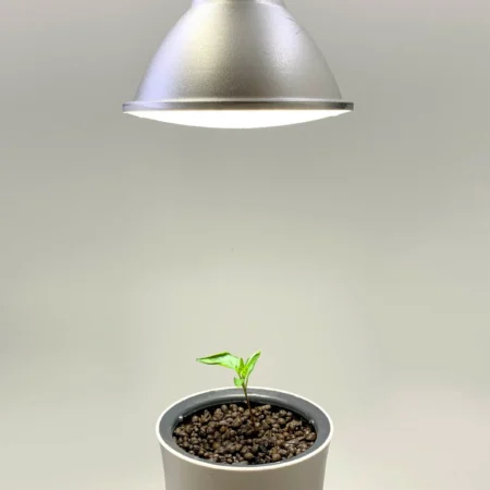 Botanium 15W LED Grow Light – Full Spectrum E27 Lamp for Indoor Hydroponics - Image 3