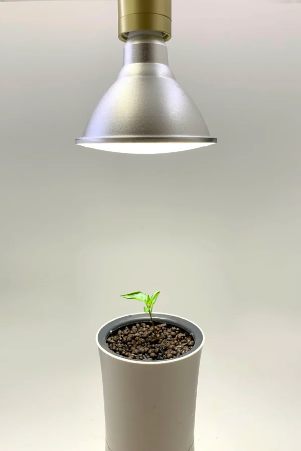 Botanium 15W LED Grow Light – Full Spectrum E27 Lamp for Indoor Hydroponics - Image 3