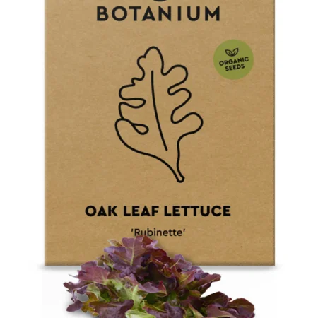 Botanium Organic Oak Leaf Lettuce Seeds – Red Crisp Variety for Indoor Hydroponic Gardens