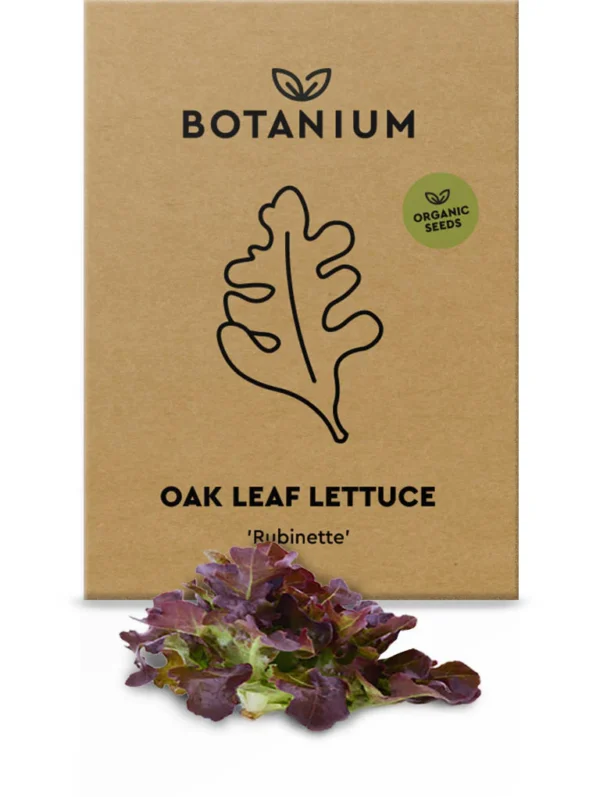 Botanium Organic Oak Leaf Lettuce Seeds – Red Crisp Variety for Indoor Hydroponic Gardens