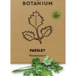 Botanium Organic Parsley Seeds – ‘Mooskrause 2’ Curled Variety for Indoor Hydroponic Gardens