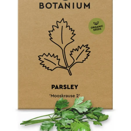 Botanium Organic Parsley Seeds – ‘Mooskrause 2’ Curled Variety for Indoor Hydroponic Gardens