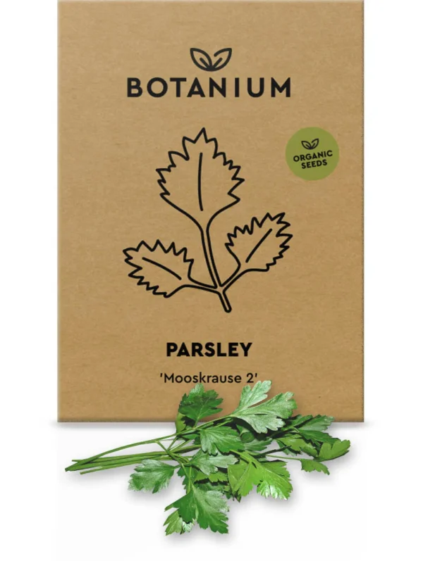 Botanium Organic Parsley Seeds – ‘Mooskrause 2’ Curled Variety for Indoor Hydroponic Gardens