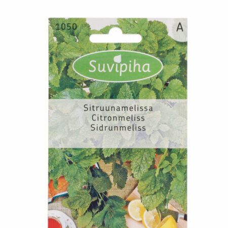 Lemon Balm Seeds 0.1g – Melissa officinalis for Culinary, Tea & Indoor Growing
