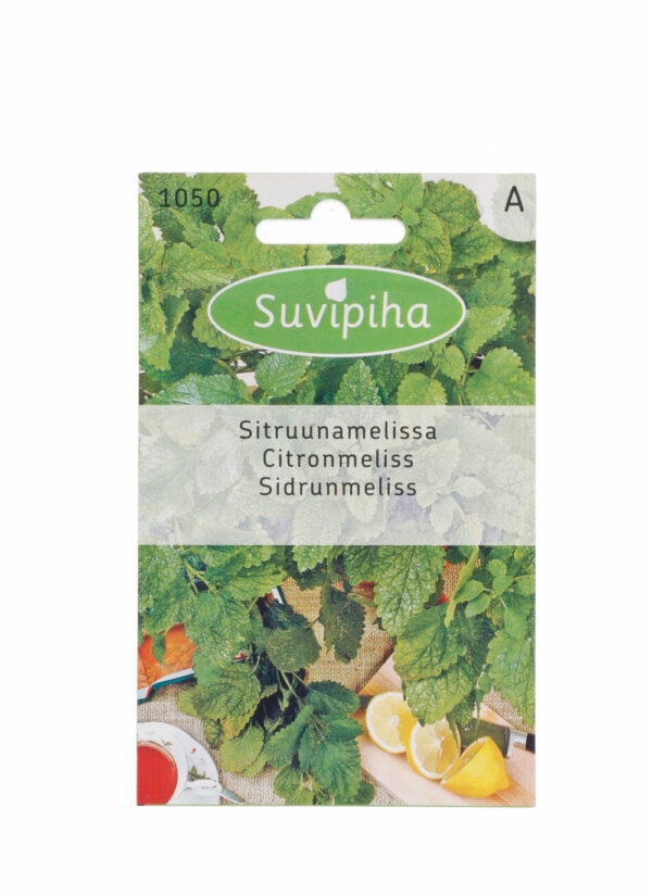 Lemon Balm Seeds 0.1g – Melissa officinalis for Culinary, Tea & Indoor Growing