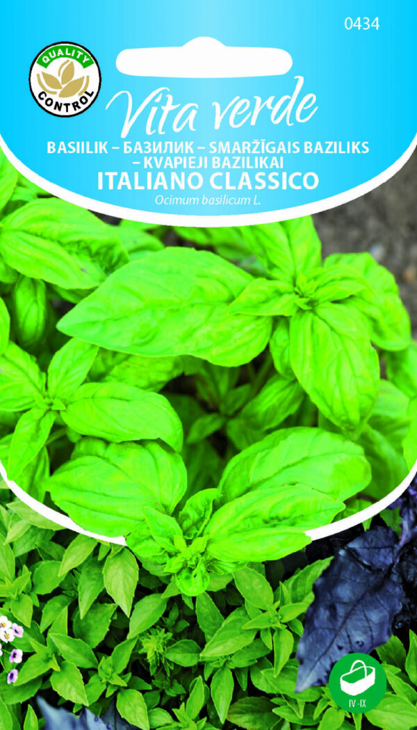 Italian Basil Seeds – Italiano Classico (Ocimum basilicum) for Cooking, Medicinal Use & Hydroponic Smart Gardens