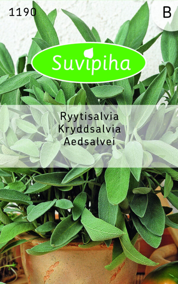 Garden Sage Seeds 0.5g – Aromatic Culinary Herb (Salvia officinalis)