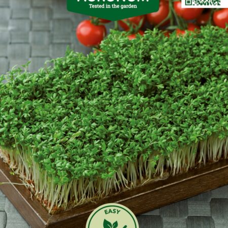 Garden Cress Common Seeds | Fast-Growing Superfood for Hydroponics & Smart Indoor Gardens
