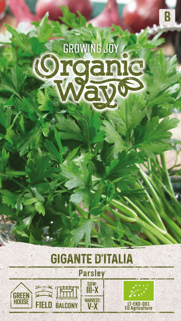 Organic Parsley ‘Gigante d’Italia’ Seeds | Smooth-Leaf Parsley for Hydroponics & Smart Indoor Gardens