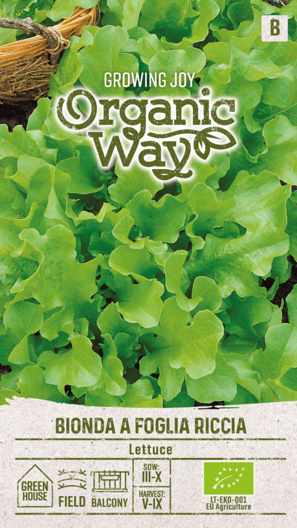 Organic Lettuce Bionda a Foglia Riccia Seeds | Fast-Growing Leaf Lettuce for Hydroponics & Smart Indoor Gardens