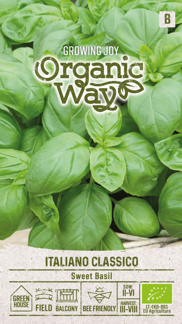 Organic Sweet Basil Italiano Classico Seeds | Aromatic Culinary Basil for Hydroponics & Smart Indoor Gardens