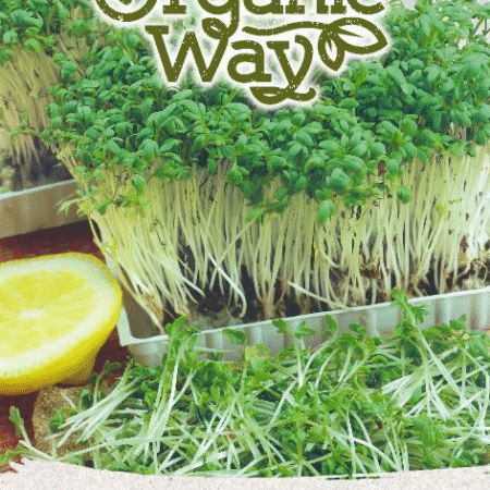 Garden Cress Microgreens Seeds | Fast-Growing Superfood for Hydroponics & Smart Indoor Gardens