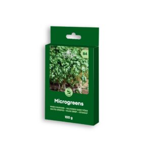 Mikrovõrsete valge sinepi seemned 100 g – kiirelt kasvav superfood hüdropoonikasse ja idupurkidesse