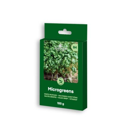 Microgreens White Mustard Seeds – 100g | Fast-Growing Superfood, Ideal for Hydroponics & Sprouting Bowls