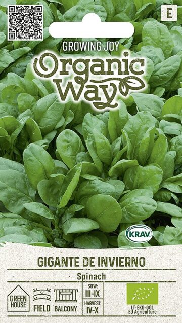 Organic Spinach Gigante de Invierno Seeds | Fast-Growing Baby Leaf Spinach for Hydroponics & Smart Indoor Gardens