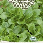 Organic Lamb’s Lettuce (Corn Salad) Trophy Seeds | Mild, Nutty Greens for Hydroponics & Smart Indoor Gardens