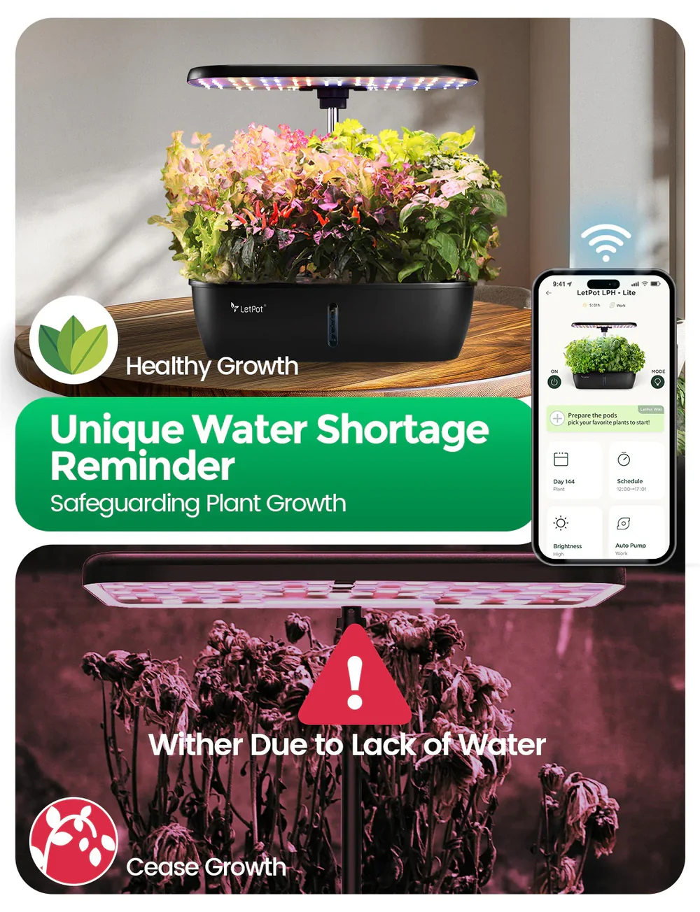LetPot LPH-Lite Hydroponics Growing System – 12-Pod Smart Indoor Garden with App & Wi-Fi Control - Image 9