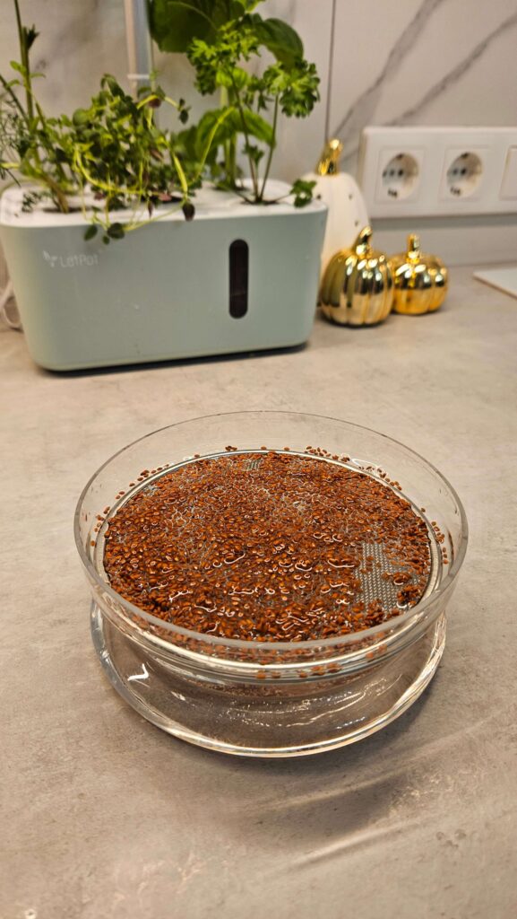 What Is the Word for Seed Starting? A Beginner’s Guide to Seed Terminology