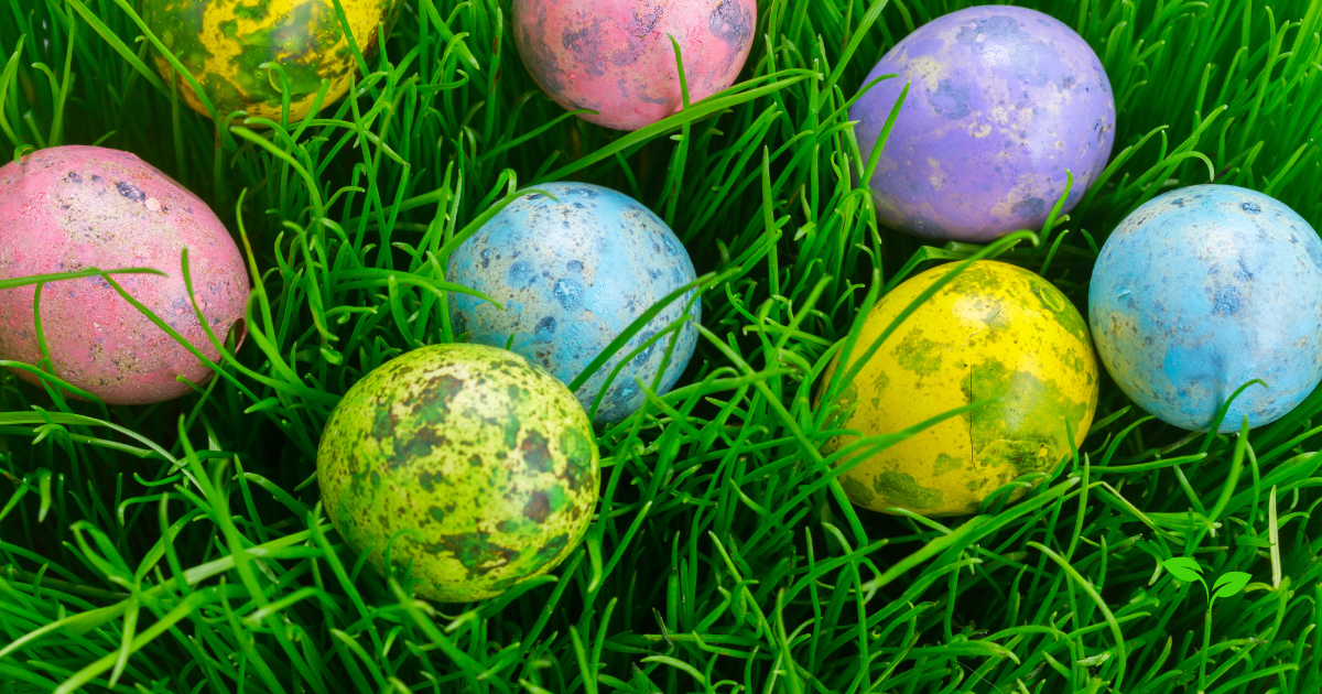 How to grow Easter grass easily indoors
