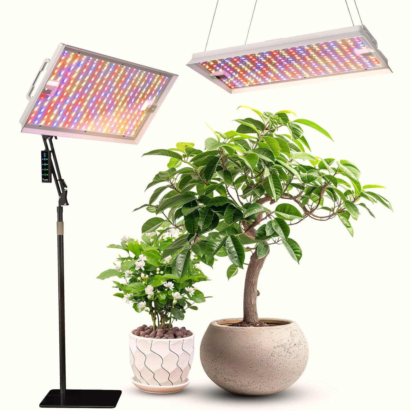 Grow Lights for Indoor Plants: How They Work, How to Choose the Right One, and How to Use Them Successfully