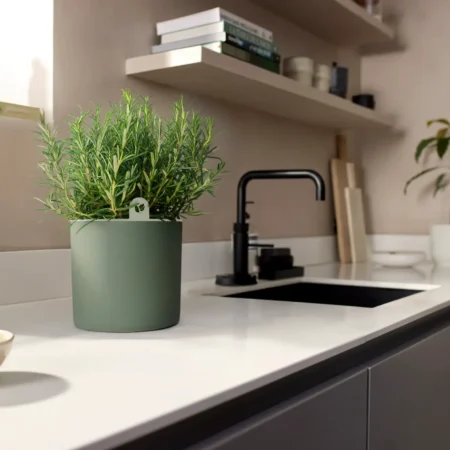 Elho Happy Herbs 14 cm — Leaf Green Indoor Herb Planter with Water Reservoir - Image 2