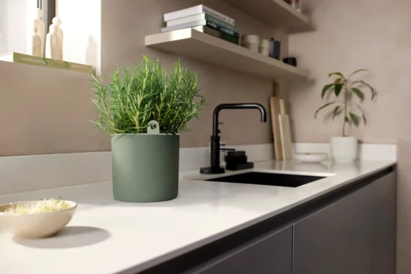 Elho Happy Herbs 14 cm — Leaf Green Indoor Herb Planter with Water Reservoir