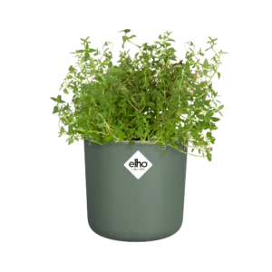 Elho Happy Herbs 14 cm – roheline ürdipott sisseehitatud veepaagiga