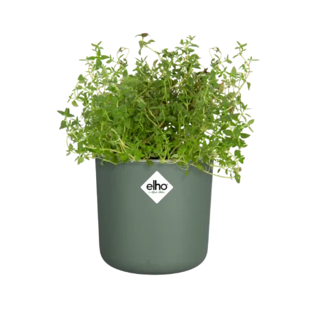 Elho Happy Herbs 14 cm — Leaf Green Indoor Herb Planter with Water Reservoir