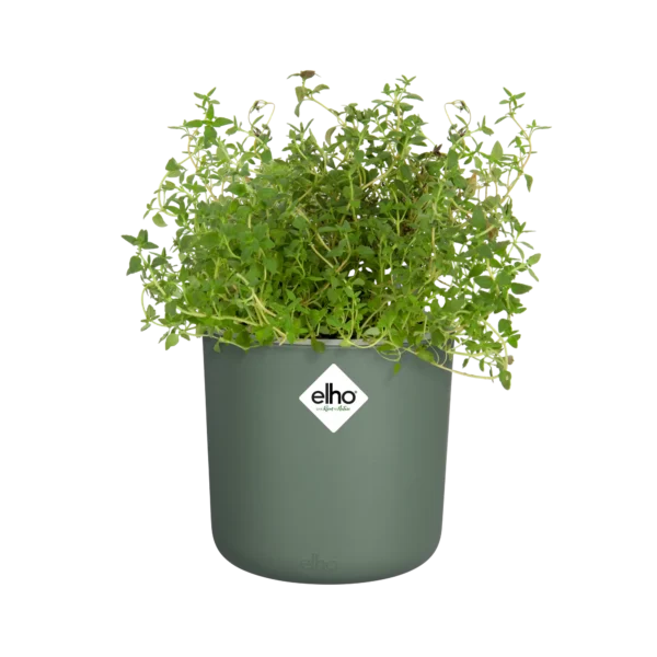 Elho Happy Herbs 14 cm — Leaf Green Indoor Herb Planter with Water Reservoir