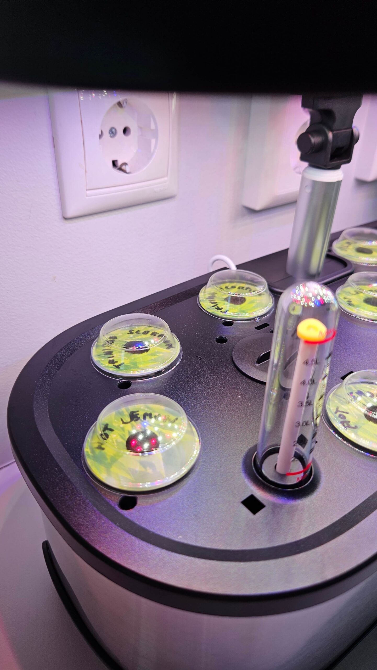 How to Keep Your Plants Watered While You’re Away on Holiday