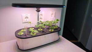LetPot Senior smart garden growing fresh herbs on a kitchen counter