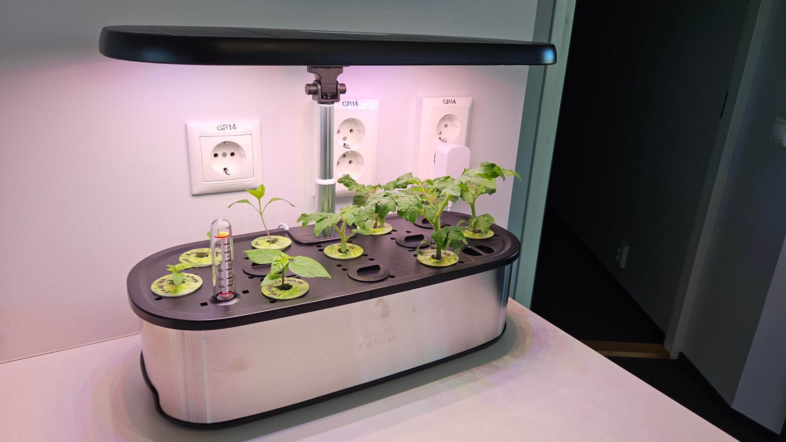 LetPot Senior smart garden growing fresh herbs on a kitchen counter