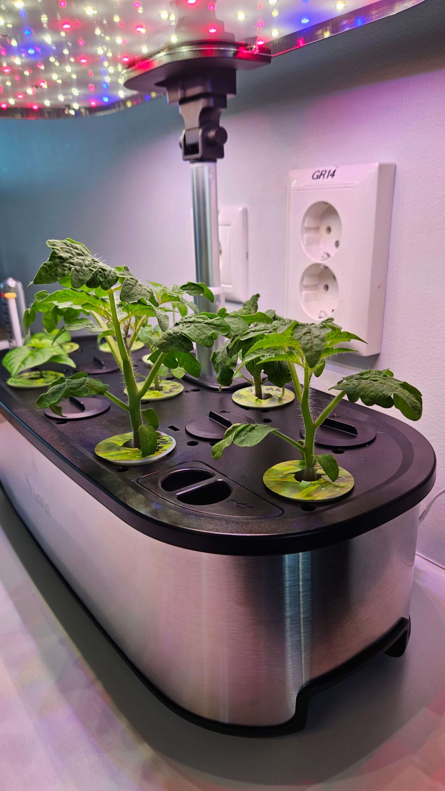 What Is a Smart Garden and How Does It Benefit Home Growers?