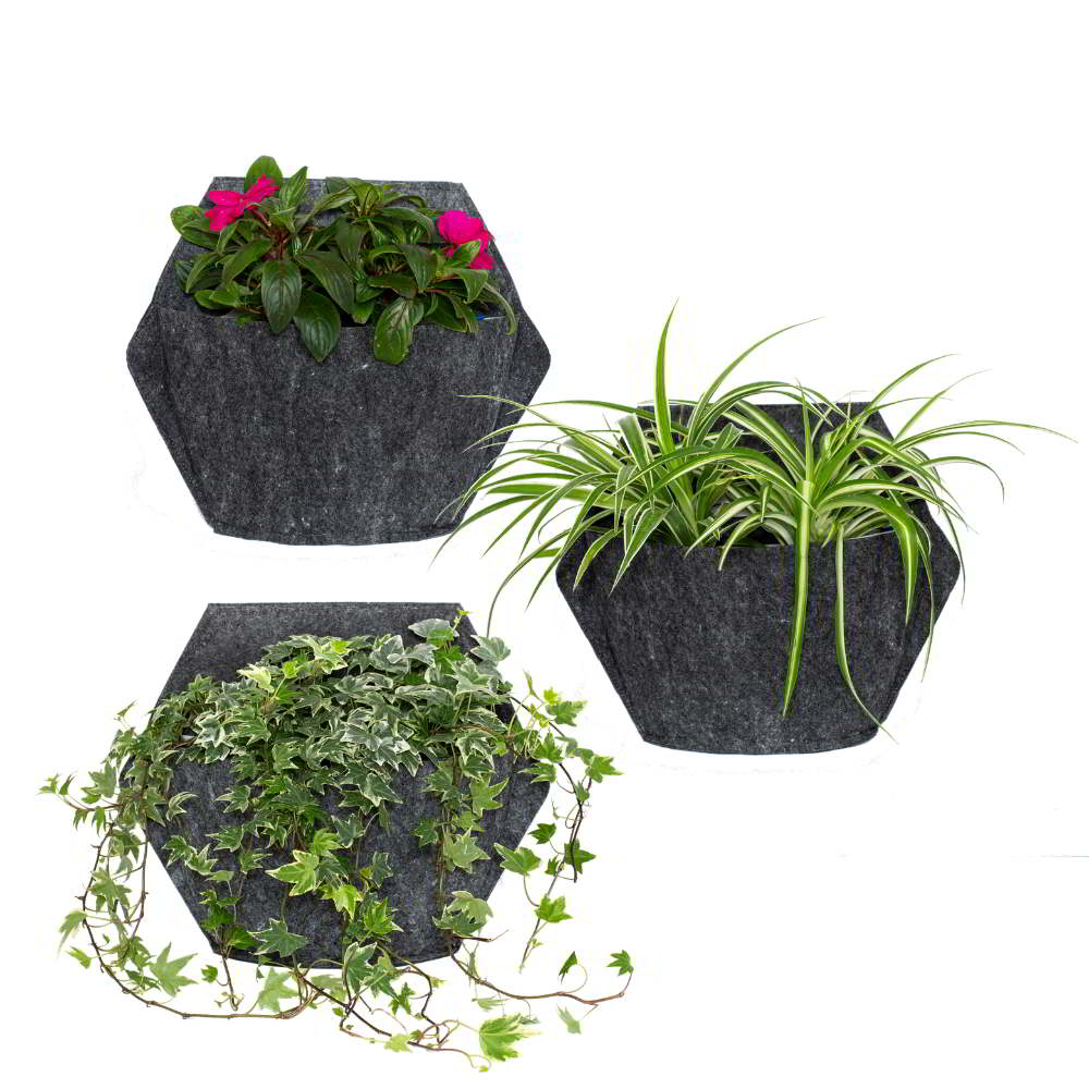 CitySens 3-Pack Wall Planters with Textile Covers and Self-Watering – Black Vertical Planter Set - Image 2